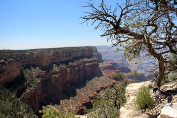 Der Grand Canyon