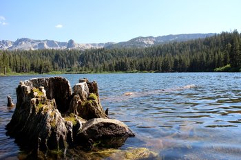 Mammoth Lakes