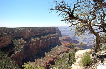 Ein Tag für den Gran Canyon National Park reicht aus.